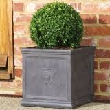 A fitting state plant for the grand canyon state, the blue palo verde is a large shrub or small tree reaching up to 40 feet in height. Faux Lead Fibreclay Garden Planter More Than Pots