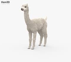 3d Model Of Alpaca Hd 3d Model Animals Model