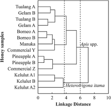 Mānuka honey is a monofloral honey produced from the nectar of the mānuka tree, leptospermum. Classification Of Honey From Its Bee Origin Via Chemical Profiles And Mineral Content Springerlink