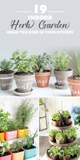 Indoor Herb Garden Diy Herb Garden Ideas Indoor Garden Ideas For Beginners Low Light Lot In 2020 Herb Garden In Kitchen Indoor Herb Garden Diy Indoor Herb Garden