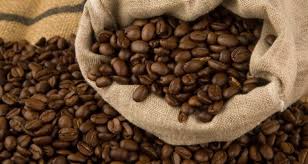 Understanding the roasting process broadens your appreciation for the art and the science that goes. Simple Steps To Growing Coffee Even Where You Live Off The Grid News