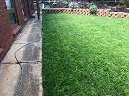 The lawn forum ретвитнул(а) only in arkansas. Fungus Melting Out Need Help Please The Lawn Forum