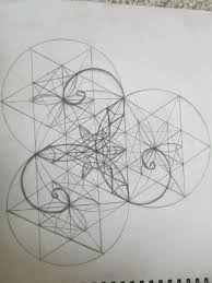 Donavan Dailey (donavandailey)