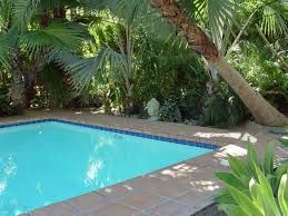 Next day shipping · low maintenance & durable · get 1st year blooms Black Gold Pool Planting Tips From Hollywood S Heyday