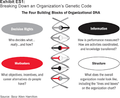 profiles in organizational dna research and remedies