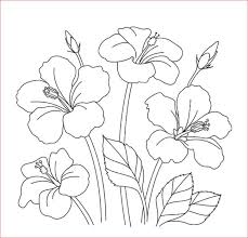 Selain gambar sketsa bunga di atas, kami juga telah menyertakan gambar sketsa bunga seperti bunga matahari, mawar, tulip, sakura, teratai, sepatu, melati, dll yang kami lengkapi dengan contoh gambar bunga, dan beberapa contoh lukisan bunga untuk memudahkan kalian dalam latihan menggambar maupun melukis bunga. 100 Sketsa Gambar Bunga Beserta Cara Menggambarnya