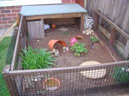 Tortoise Protection Group Members Forum Tortoise Protection Group Tortoise Care Tortoise Habitat Tortoise Enclosure
