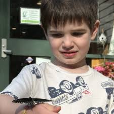Just 2 and a half weeks until fall volunteer educator training! What does a  volunteer educator do? Read more at  https://nhfishgame.com/2025/08/11/training-for-great-bay-volunteer-educators-set-for-september-3/  and comment here with questions. Email ...