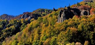 Localizarea parcului natural pe harta țării (punctul marchează aproximativ centrul ariei protejate). Parcul Natural Defileul MureÈ™ului Superior Peterlengyel