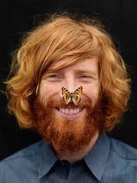 Johnny Harrington Fans