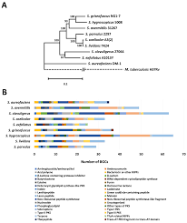 نتیجه جستجوی لغت [industrially] در گوگل