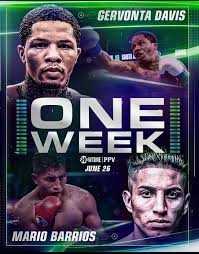 Gervonta davis, the 2019 world boxing association's lightweight champion, is on the fast track to legend status along with floyd mayweather and manny pacquiao. O8feaptqvky0ym