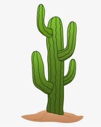 Cactus heart illustrations and clipart (2,601). Free Cactus Clip Art With No Background Clipartkey