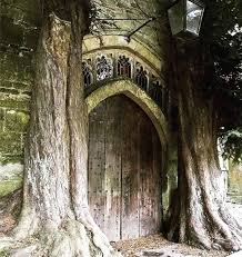 We did not find results for: Ancient Yew Trees On Each Side Of The North Doorway Of The 1 000 Year Old St Edward S Church In Stow On The Wold England Album On Imgur