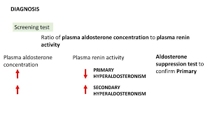 Image result for Hyperaldosteronism