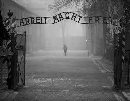 Image result for holocaust photos