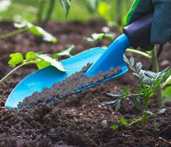 However, horse manure generally contains nitrogen, phosphorus and potassium in varying amounts. 5 Best Fertilizers For Fruit Trees Reviewed Jul 2021
