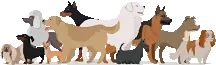 Image result