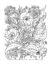 fleurs et vegetation coloriages difficiles pour adultes coloriage fleur image a colorier de maison
