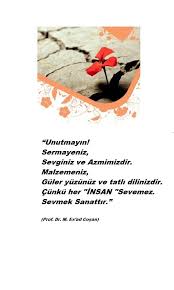 Sevmek Sanattir 2020 Sanat Edebiyat Adlar