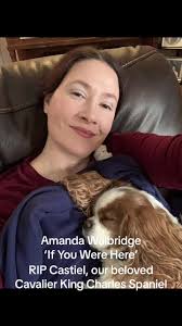 Viral Cavalier King Charles Rip