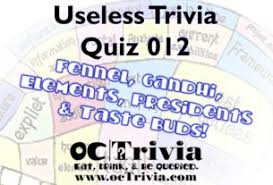 The smallest bone in the human body can be compared with which real life object? Free Quiz Questions And Answers Trivia Quiz 015 Octrivia Com