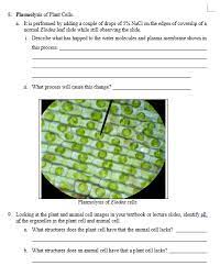 Water is used by many enzymes to perform reactions, and in general it helps keep proteins, amino acids, and sugars. 8 Plasmolysis Of Plant Cells A It Is Performed By Chegg Com