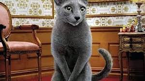 Epingle Sur Entretien De La Maison