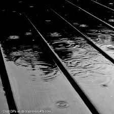Beautiful Black And White Nature Background Black And White Rain Drops Cool Display Pictures Black And White Background Rain Wallpapers Black And White Photographs