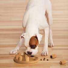 The level 1 puzzles were too simple for milo, so we wanted a more challenging puzzle for him. Outward Hound Nina Ottosson Interactive Puzzle Game Level 1 3 Buy A Dog Nigeria