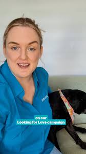 Is your pooch a cuddly canine? These are our top 5 lap dog breeds 🐶🐾  #dogs #dogbreeds #cuddlydogs #lapdogs #doglovers #petlovers #dogvideos  #pets