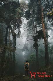 35 99 Nature Photography Landscape Photography Trees Camping Aesthetic