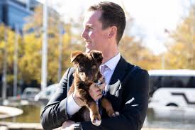 Dog and cat microchipping is a simple procedure that can be performed at your veterinarian's office. Annual Registration Required Under New Act Dog Laws Canberra Weekly