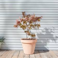 What affects how often you should water your indoor plants? How Should I Water My Outdoor Plants Patch