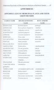 Image result for Solanecio cydoniifolius