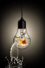 Goldfish In Lightbulb Light Bulb Art Light Bulb Glass Photography