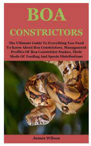 However, unlike some of the other species, it is unknown why boa constrictors evolved to give live birth. Boa Constrictors The Ultimate Guide To Everything You Need To Know About Boa Constrictors Management Profiles Of Boa Constrictor Snakes Their Mode Of Feeding And Specie Distributions Amazon De Wilson James Fremdsprachige Bucher