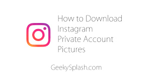 Software testing help the 4k stogram is an instagram photo, video viewer and down. How To Download Instagram Private Account Pictures And Videos Geekysplash