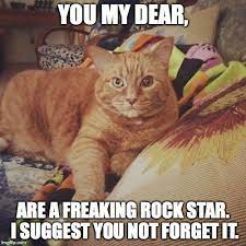 Pin On Hippie Chick Memes