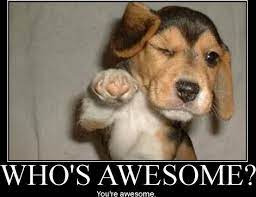When you think something is very fun or cool. File Who Is Awesome Jpg Wikipedia