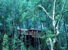 21 Best Honeymoon Resorts In India Best Honeymoon Resorts Honeymoon Resorts Best Honeymoon