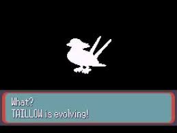 Pokemon Sapphire Shiny Taillow Evolves Youtube