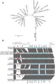 Pedro el de tuíter‏ @pedroeldetuiter 12 окт. Genetic Analysis Of The Incx4 Plasmids Implications For A Unique Pattern In The Mcr 1 Acquisition Scientific Reports