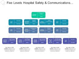 Five Levels Hospital Safety And Communications Org Chart