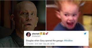 literally just 31 very very hilarious tweets about netflix s bird box horror movies memes funny pictures movie memes