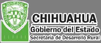 UNIDAD DE MANEJO FORESTAL SAN JUANITO A.C.”