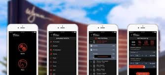 Governor gretchen whitmer signed the bill, and the michigan gaming control board said that mobile sports. Wynn Resorts To Provide Igaming And Internet Sports Betting In Michigan Dbusiness Magazine