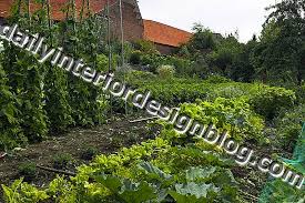 Backyard landscapes need to be functional as spaces that are useful as well as beautiful. Mendapatkan Sayuran Untuk Berkembang Dan Bagaimana Untuk Menyokong Mereka Asas Kebun Sayur Mungkin 2021