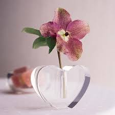 Schön und funktional sind unsere badematten bekannter hersteller mit verschiedenen designs, die jedem badezimmer eine besondere note verleihen. Mini Herzvase Aphrodite Wohn Accessoires Wohnung Office Herz Herz Plusch Geschenke