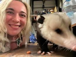 Today I met a possum!!!!! #trashcat